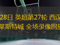 02月28日 英超第27輪 西漢姆聯(lián)vs萊斯特城 全場錄像回放