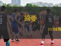 摘要