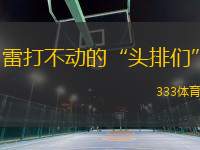 雷打不動(dòng)的“頭排們”